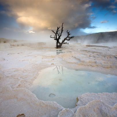 Yellowstone National Park